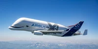 Beluga XL Foto