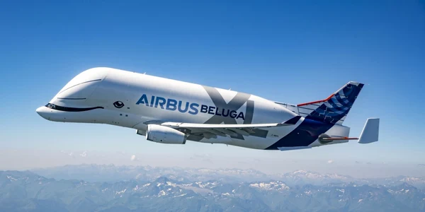 Beluga XL Foto