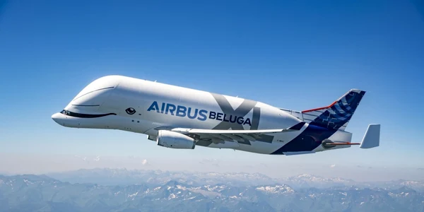 Beluga XL Foto