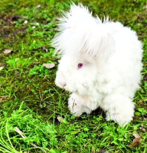 12e40c64d4a8cf633d34b363b6d155fd jpg jpeg