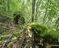 Cetatea dacică Bănița Foto Daniel Guță ADEVĂRUL (65) jpg