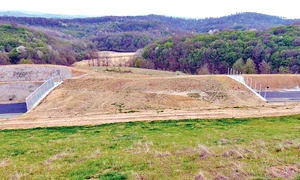 De a lungul Autostrăzii  Vestului s au construit mai  multe poduri pentru  animale sălbatice jpeg