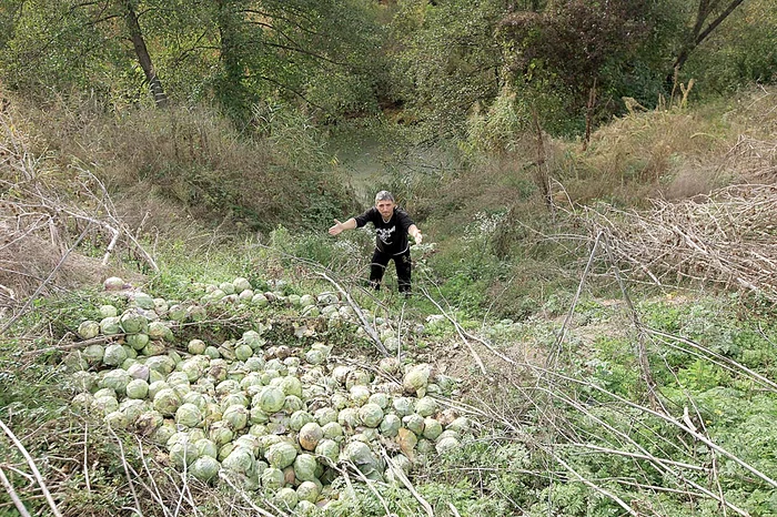 Legumele nevândute sunt aruncate la groapa de gunoi
