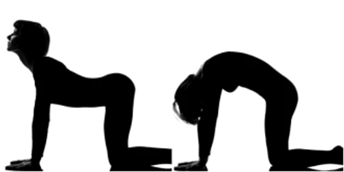 6d2bda55bb196c5458a0ebf18568a701 jpg jpeg