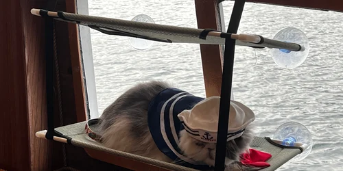 366625314 667260695443019 9204100138925687671 n jpg