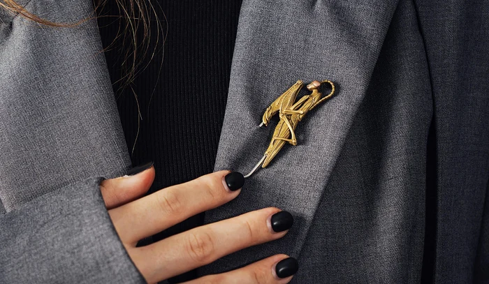 Broșa, revenirea spectaculoasă a accesoriului „de odinioară” / foto: Pexels