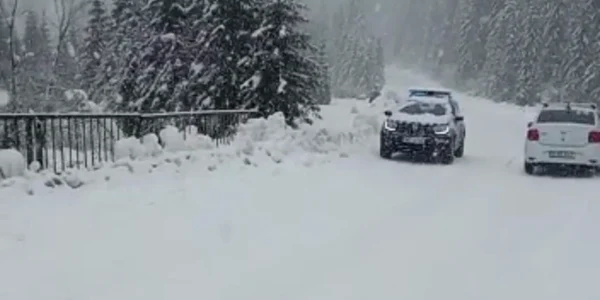 Video Zănoaga, 17 01 2023 mp4 thumbnail png