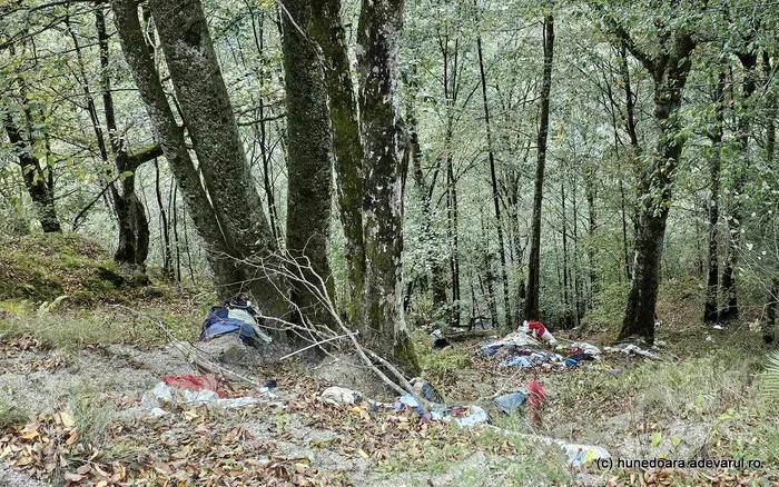 Gunoaie aruncate în râpă. Foto: Daniel Guță. ADEVĂRUL
