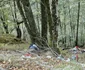 Cheile Cernei din Hunedoara  Foto Daniel Guță  (33) jpg