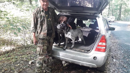Vânătorul știe să dreseze câinii ca să miroasă trufele