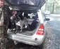 Vânătorul știe să dreseze câinii ca să miroasă trufele
