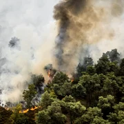 incendiu Olanda foto ANP jpg