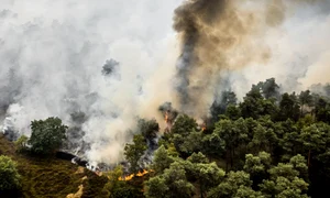 incendiu Olanda foto ANP jpg