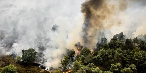 incendiu Olanda foto ANP jpg