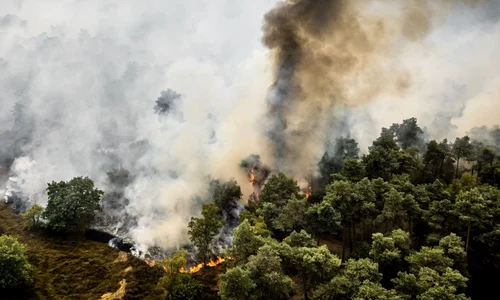 incendiu Olanda foto ANP jpg