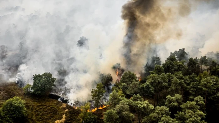 Incendii într-o rezervaţie naturală din Olanda. FOTO: ANP