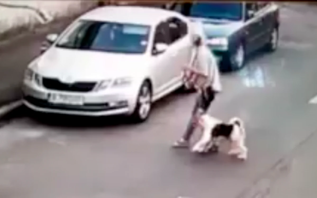 Câinele de companie mergea în lesă, alături de stăpâna lui
