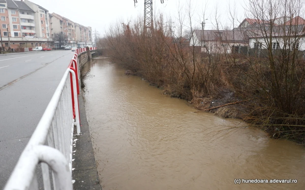 Râul Cerna din Hunedoara. Foto: Daniel Guță. ADEVĂRUL