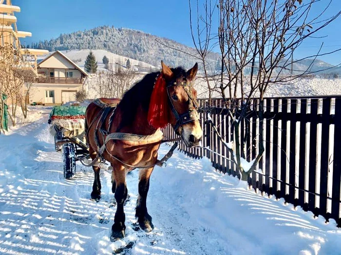 Ce temperaturi se vor înregistra de Revelion Foto: arhivă Click!