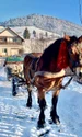 1 revelion bucovina jpg