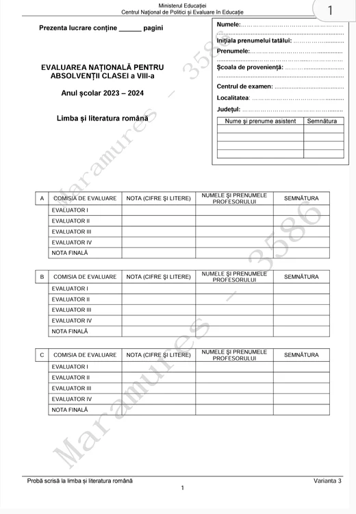 subiecte romana evaluarea nationala 2024