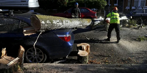 furtuna londra reuters