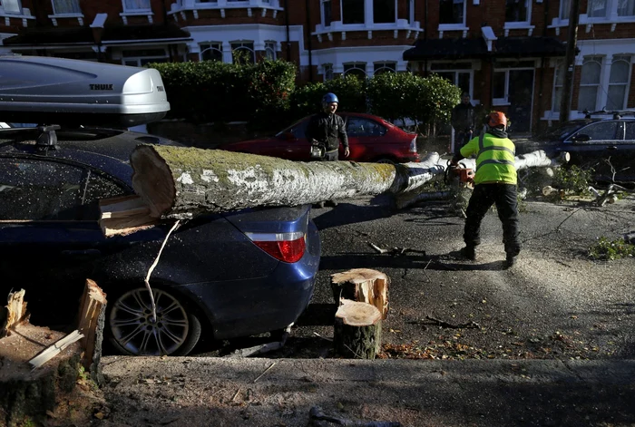 În Londra, aceeaşi furtună a doborât mai mulţi copaci. FOTO Reuters