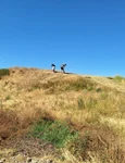 Noi cercetări arheologice sistematice pe situl Gherăseni – Cremenea (© Muzeul Județean Buzău)