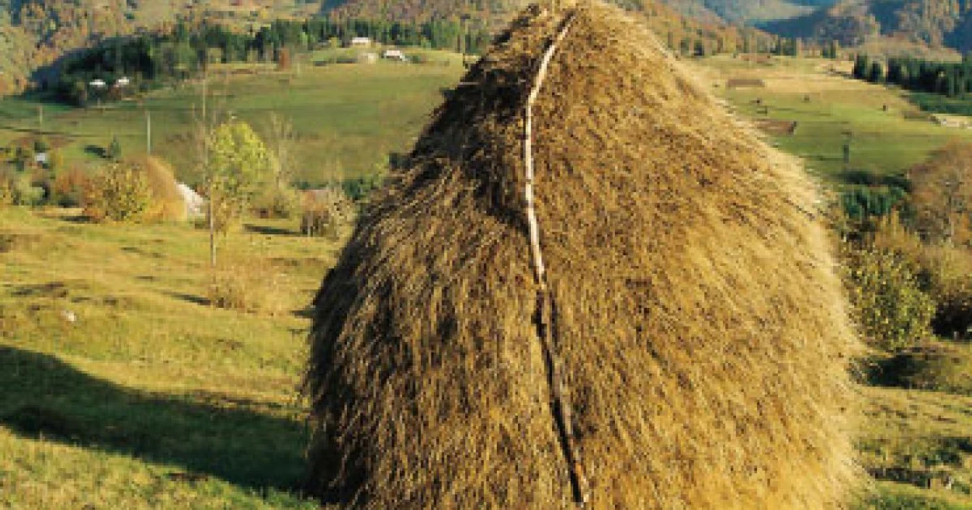 Istorie şi tradiţie în împrejurimile Negreniului