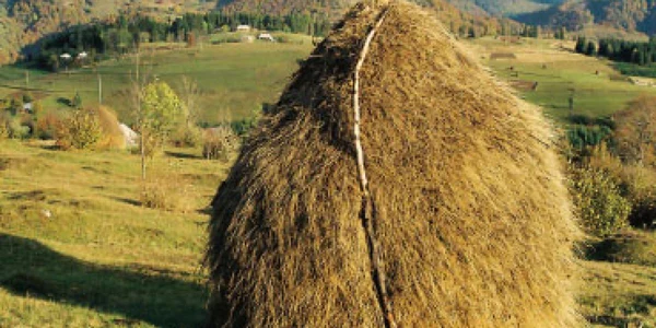 Istorie şi tradiţie în împrejurimile Negreniului