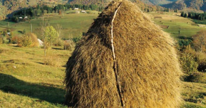 Istorie şi tradiţie în împrejurimile Negreniului