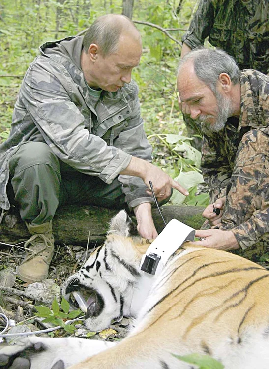 2013 Preşedintele rus  se joacă precum  un copil cu  Yume şi Buffy (Fotografii: reuters)
