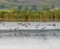 Complex Delta Moldovei, Iasi  Sursa foto: Arhiva Complexului 