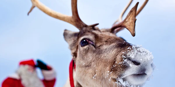 Santa Claus Village. FOTO visitrovaniemi.fi