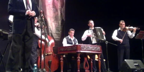 Concert Tudor Gheorghe
