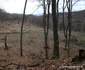 Magura Călanului Foto Daniel Guță ADEVĂRUL (48) JPG