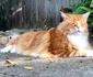 5 img 0494 jpg jpeg
