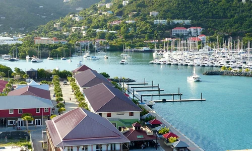 Tortola pixabay jpg