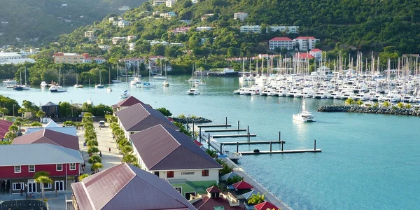 Tortola pixabay jpg