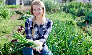 shutterstock 1461806918 1 jpeg