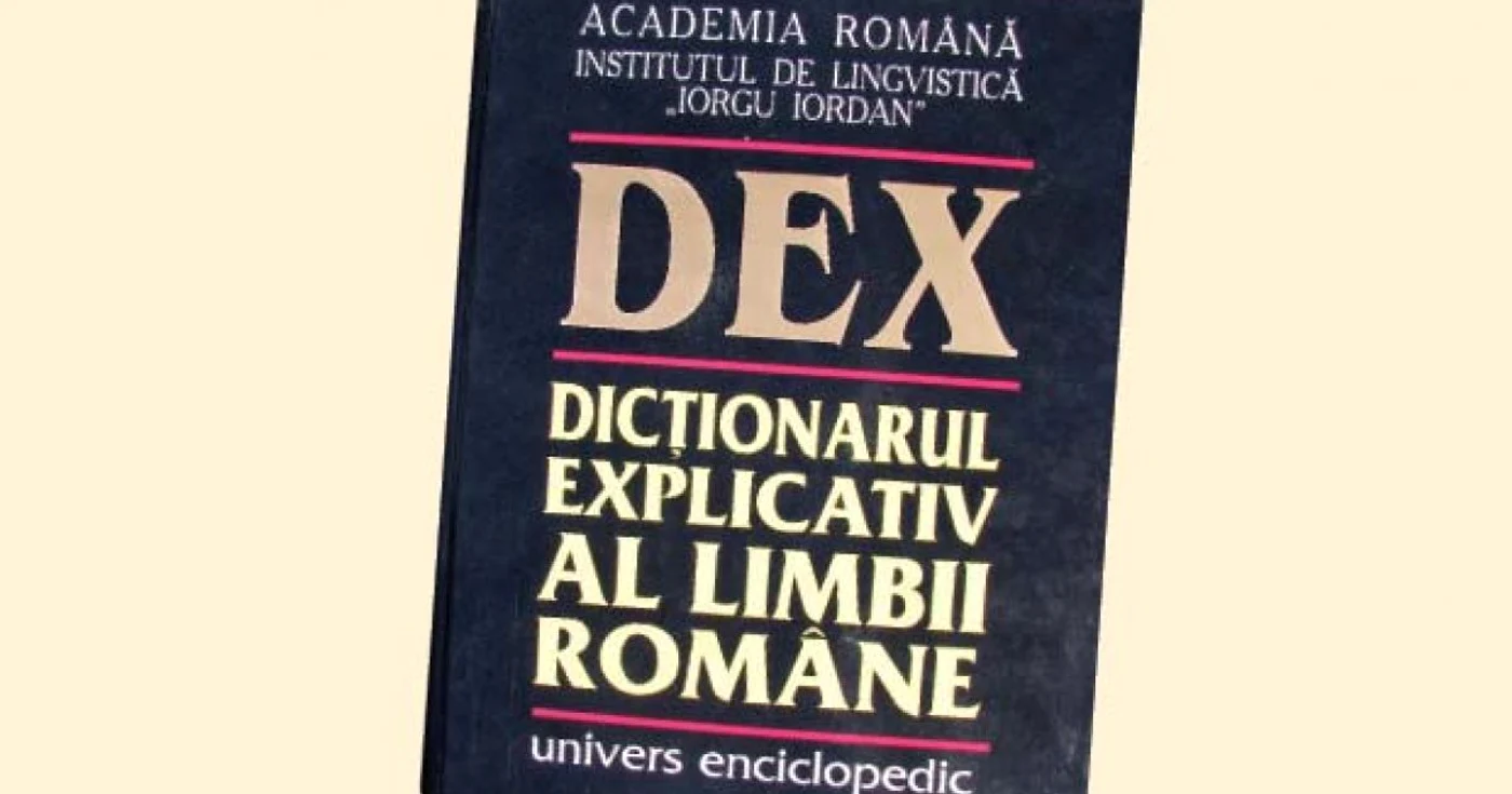 Considerate puternic ofensatoare şi peiorative, cuvintele „ţigan“ şi „jidan“ urmează să primească noi definiţii în viitorul DEX