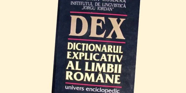 Considerate puternic ofensatoare şi peiorative, cuvintele „ţigan“ şi „jidan“ urmează să primească noi definiţii în viitorul DEX