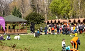 targul de paste bucuresti anulat anunta creart c 1260x709 webp