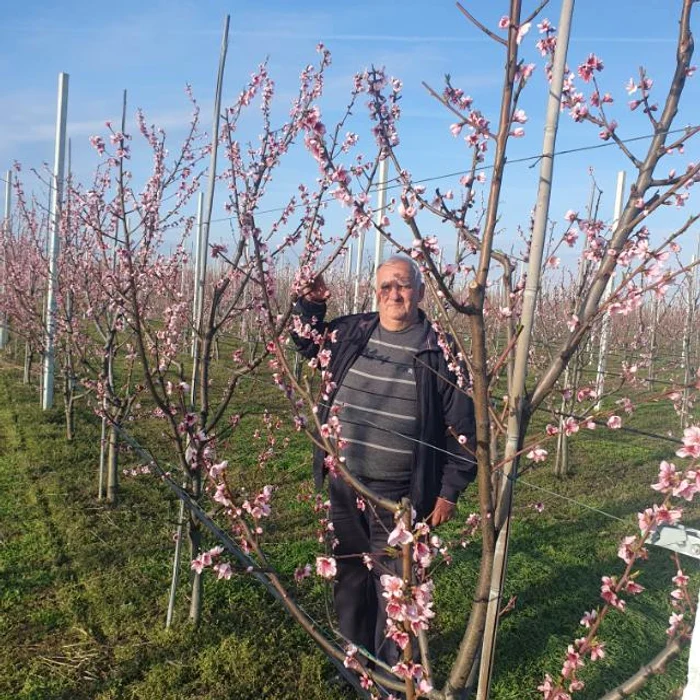 Fermierul Constantin Tache a înființat livada cu opt ani în urmă FOTO: arhiva personală