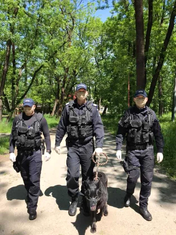 FOTO IJJ Mehedinţi