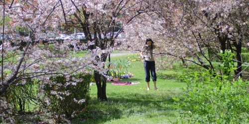 Bucureştenii au dat năvala în parcuri în primele zile de primăvară 