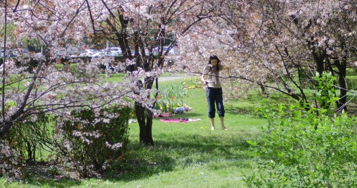 Specialiştii au emis prognoza meteo pentru începutul săptămânii FOTO Adevărul