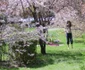 Bucureştenii au dat năvala în parcuri în primele zile de primăvară