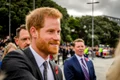 Printul Harry jpg