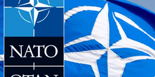 NATO FOTO FB png